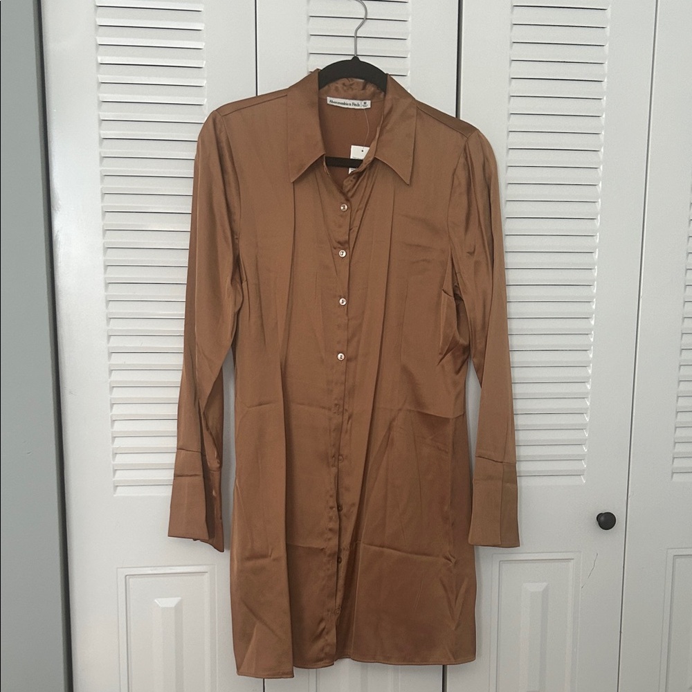 Abercrombie & Fitch Brown Shirt Dress
